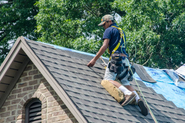 Residential Roof Replacement in Remlap, AL